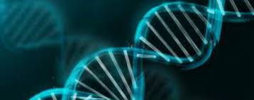 HỘI NGHỊ “CÔNG NGHỆ DNA VÀ SINH HỌC TỔNG HỢP Ở ĐBSCL, HIỆN TẠI VÀ TƯƠNG LAI”
