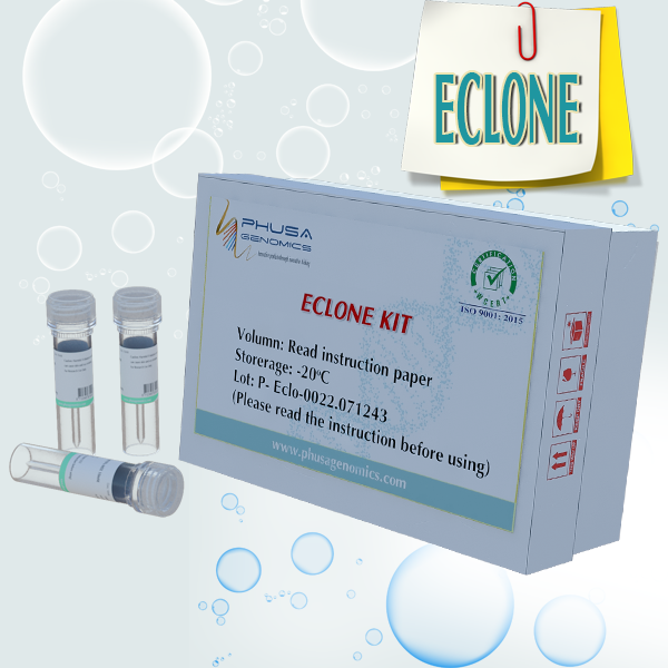 KIT tạo dòng eClone
