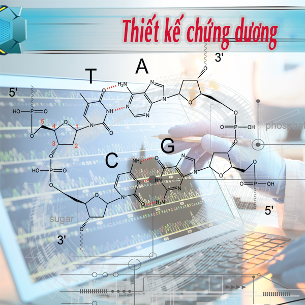 Thiết kế chứng dương