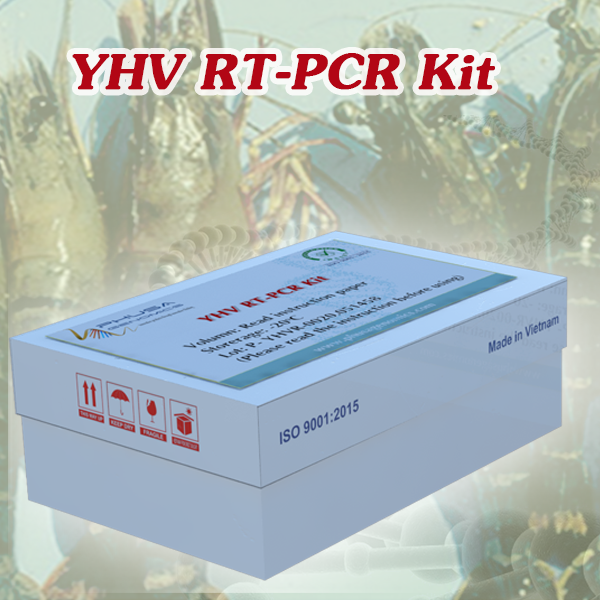 YHV RT-PCR Kit